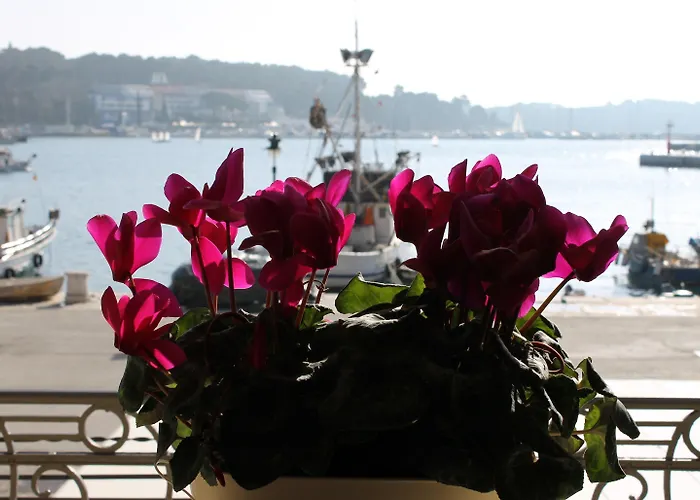 Porta Antica Centro Storico *